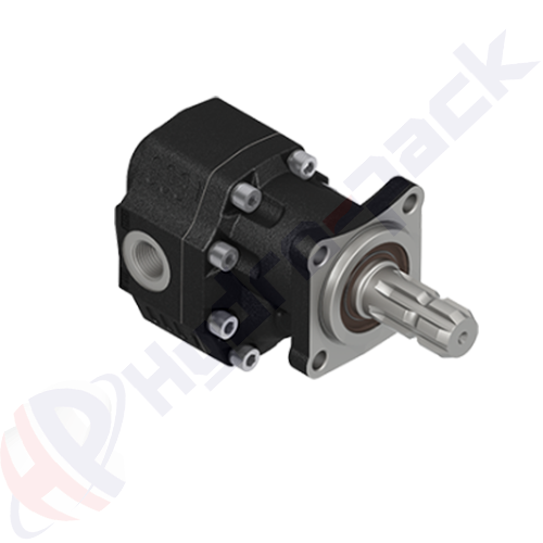 ISO-ASAE-EHASS-100-L Group 30 Cast Iron Pump